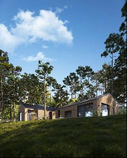 Innovative private house by the river