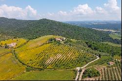 Stunning property in the Maremma countryside