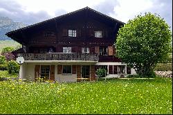 Large chalet with two apartments, ideal location