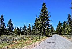 Rare Opportunity for 143 Acres in Truckee, CA