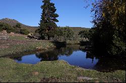 Bonniedale Holiday Farm