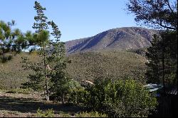 Bonniedale Holiday Farm