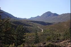 Bonniedale Holiday Farm