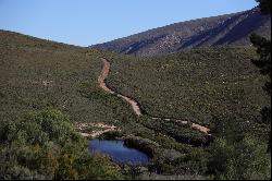 Bonniedale Holiday Farm