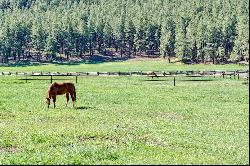 Pine Ridge Ranch