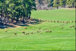 Pine Ridge Ranch