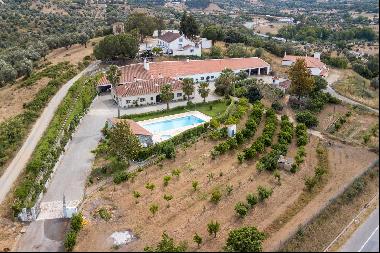 Outstanding farmhouse with fruit trees and a swimming pool on a 1-hectare land in Montemor