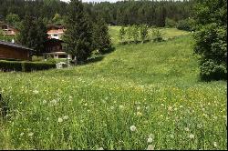 Magnificent plot of land in the heart of the village