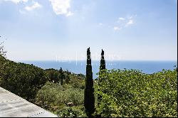 Villa surrounded by greenery with swimming pool