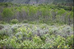 20 Acres Bordering National Forest