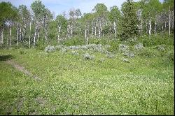 20 Acres Bordering National Forest