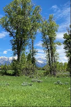 North Spring Gulch Road