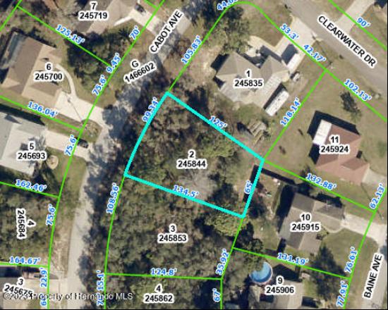 Cabot Avenue, Spring Hill FL 34606