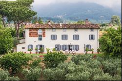 Charming Villa a few km from Lucca