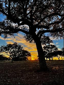 Colorado Canyon Drive, Chimney Oaks At Lake Travis, TX 78654