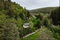 Vacation home in the mountains