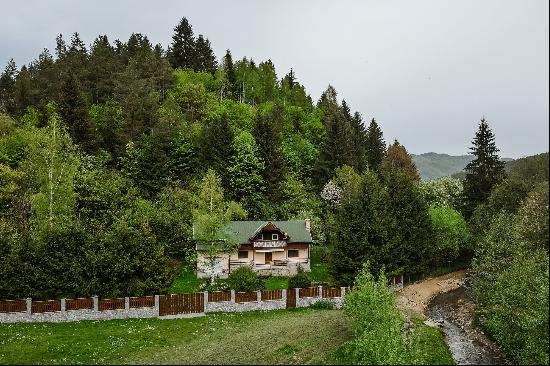 Vacation home in the mountains