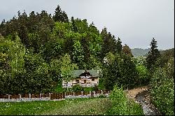 Vacation home in the mountains