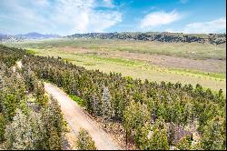 Tbd Trout Creek Lane, Fairplay, CO, 80440