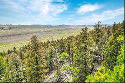 Tbd Trout Creek Lane, Fairplay, CO, 80440