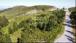 Land, for sale, in Monchique, Algarve