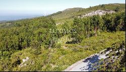 Land, for sale, in Monchique, Algarve