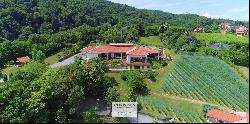 A magnificent 3 hectares super luxury estate near Zagreb