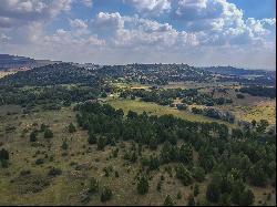 Shearwood Farm, Erf 145 Portion 4, Alewynspoort, Gauteng, 1872