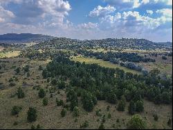 Shearwood Farm, Erf 145 Portion 4, Alewynspoort, Gauteng, 1872