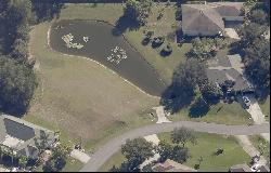 19915 Dolores Ann Court, Lutz FL 33549