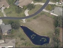 19915 Dolores Ann Court, Lutz FL 33549