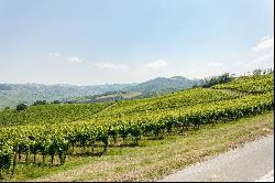 Wonderful Estate among the vineyards of Oltre Po'Pavese