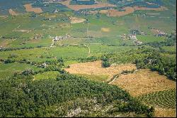 Wonderful Estate among the vineyards of Oltre Po'Pavese