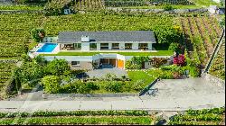 Sumptuous villa in the heart of the vineyards with spectacular views