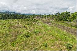 Hidden Nature Paradise in Suerre Guapiles