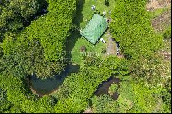 Hidden Nature Paradise in Suerre Guapiles