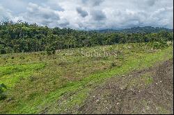 Hidden Nature Paradise in Suerre Guapiles