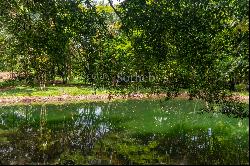 Hidden Nature Paradise in Suerre Guapiles