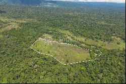 Hidden Nature Paradise in Suerre Guapiles