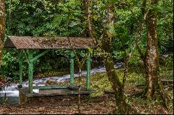 Hidden Nature Paradise in Suerre Guapiles