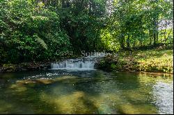 Hidden Nature Paradise in Suerre Guapiles