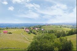 Transylvanian Majestic Tranquility near Dracula’s Castle - A Blend of Mystique