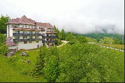 Transylvanian Majestic Tranquility near Dracula’s Castle - A Blend of Mystique