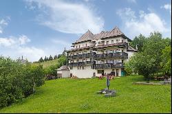 Transylvanian Majestic Tranquility near Dracula’s Castle - A Blend of Mystique