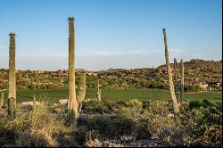 Saguaro Forest 117