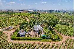 Lifestyle Table Grape Farm of 47 hectares