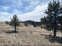 35-Acre Buildable Parcel with Mountain Views