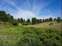 35-Acre Buildable Parcel with Mountain Views