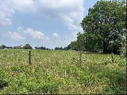 Lot 3 5 ACRES County Road 2166, Troup TX 75789