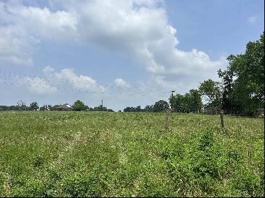Lot 3 5 ACRES County Road 2166, Troup TX 75789